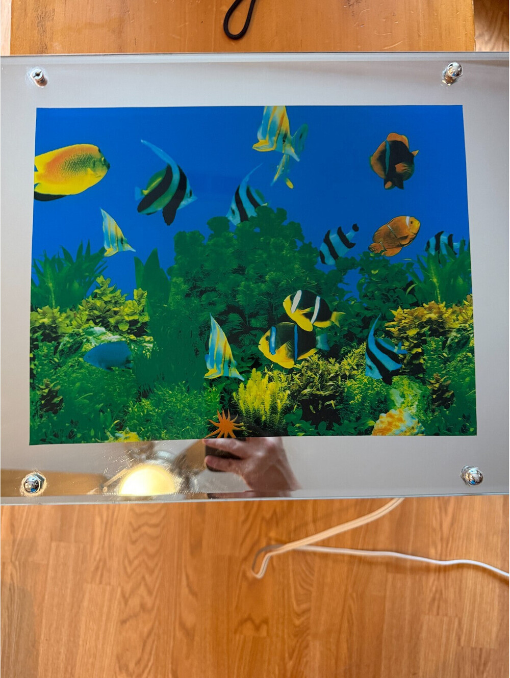 Vintage Lighted Aquarium Picture Tropical Fish Mirror Frame w/ Sound SY41 WORKS